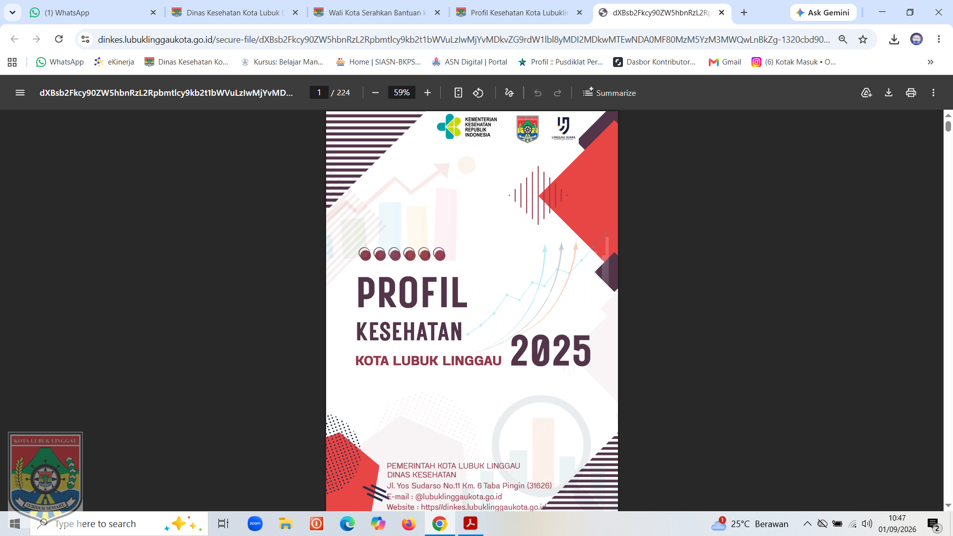 Profil Kesehatan Kota lubuklinggau tahun 2025